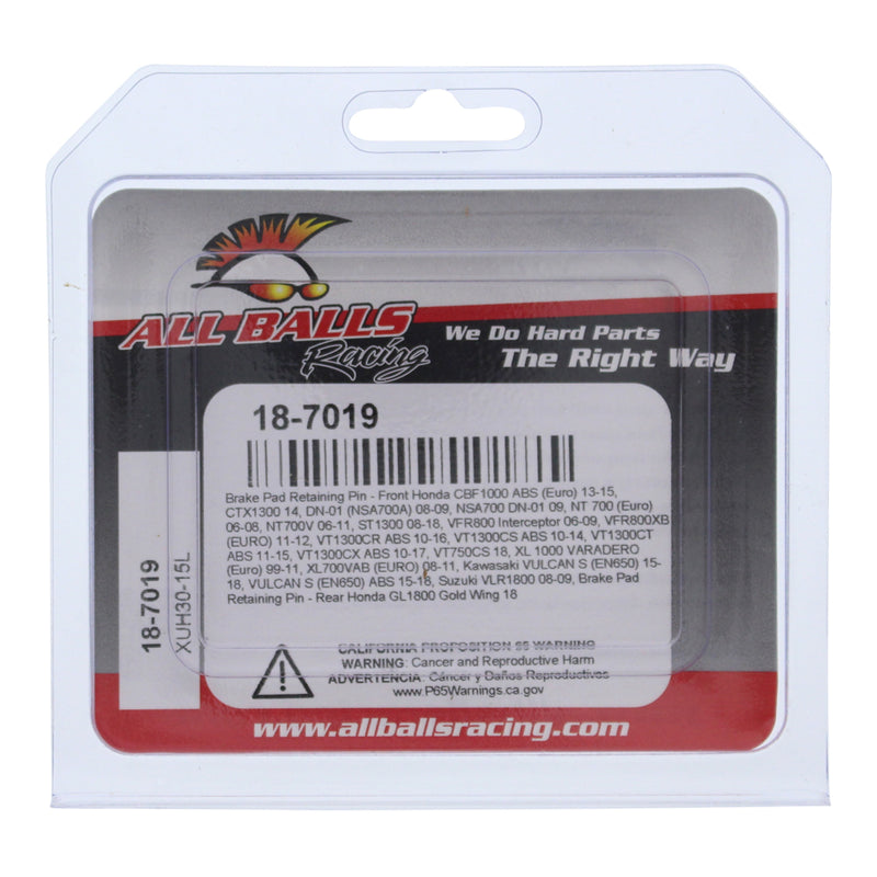 Load image into Gallery viewer, All Balls Racing Brake Pin Kit (18-7019)