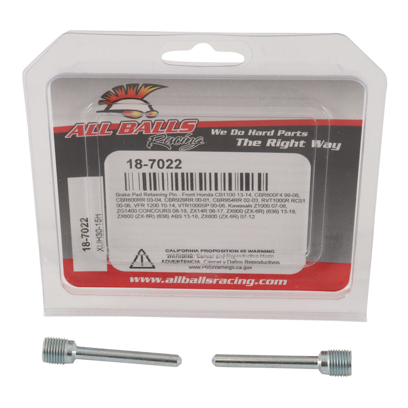 Load image into Gallery viewer, All Balls Racing Brake Pin Kit (18-7022)