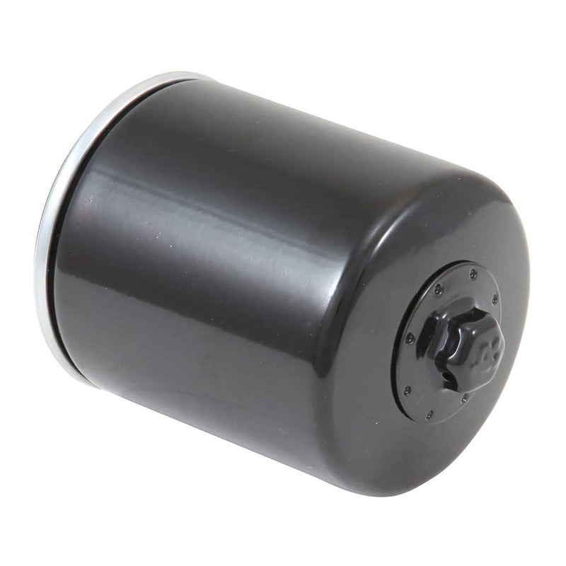 Load image into Gallery viewer, K&N Oil Filter (HF171)