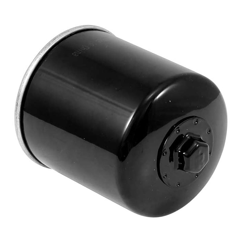 Load image into Gallery viewer, K&N Oil Filter (HF174)