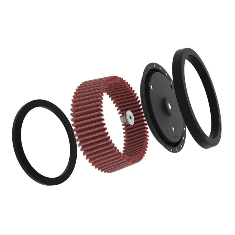 Load image into Gallery viewer, K&N Replacement Air Filter FLSS '16-'17