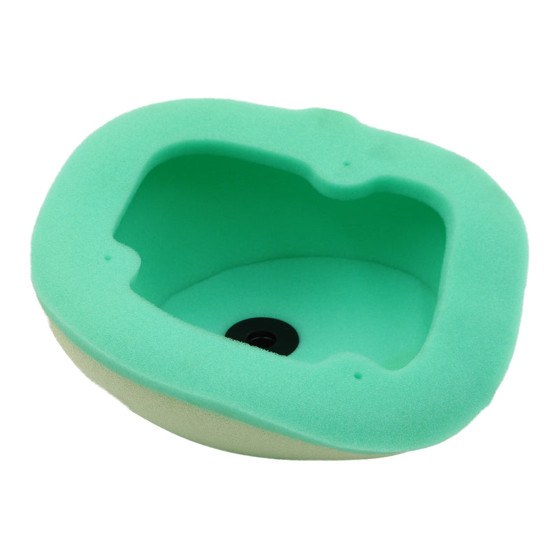 Load image into Gallery viewer, Putoline Air Filter KT4225