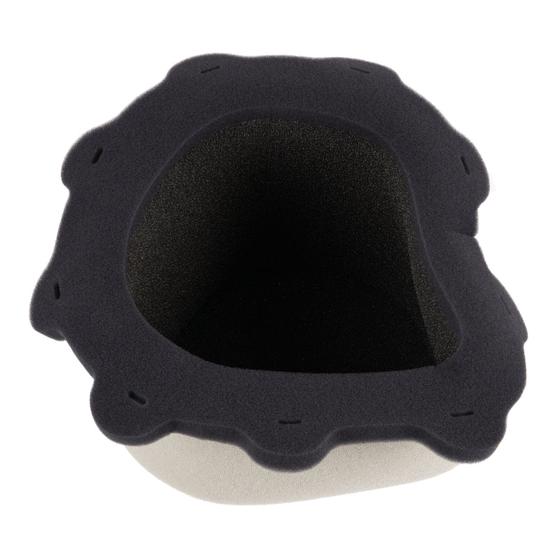 Load image into Gallery viewer, Putoline Air Filter SH6135FR