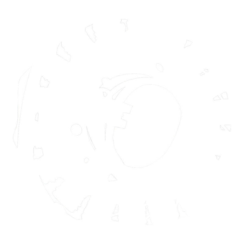 Load image into Gallery viewer, Stator Yamaha XVS650 V-Star Custom '04-'16 (RMS010-103240)