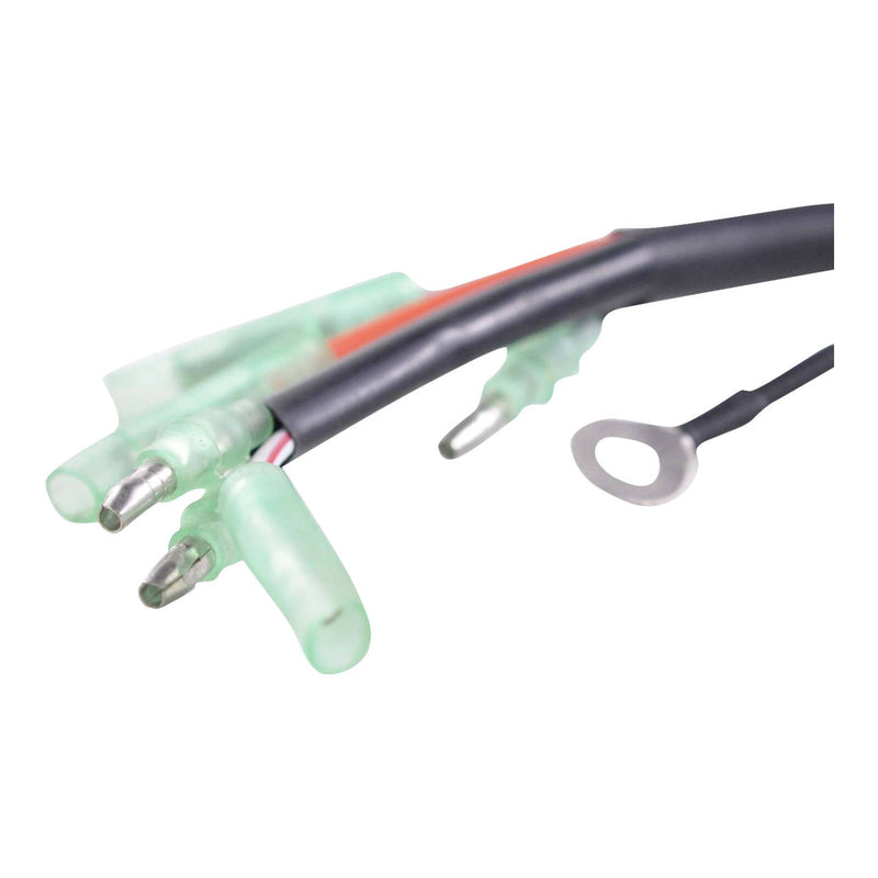 Load image into Gallery viewer, CDI Box Yamaha Outboard (Refer to Fitments) (RM02244)