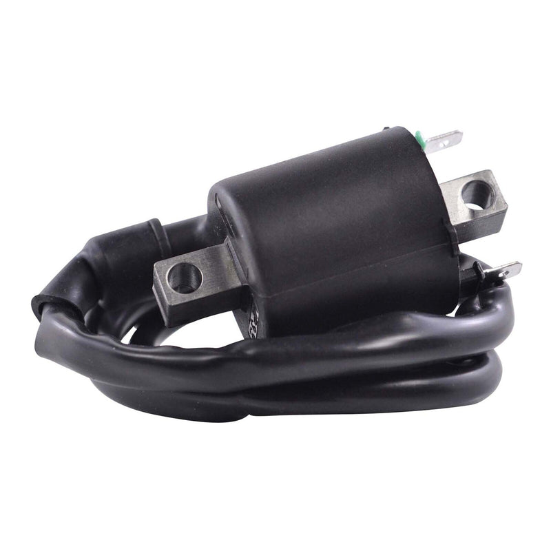 Load image into Gallery viewer, External Ignition Coil - Assorted Honda / Kawasaki '08-'20