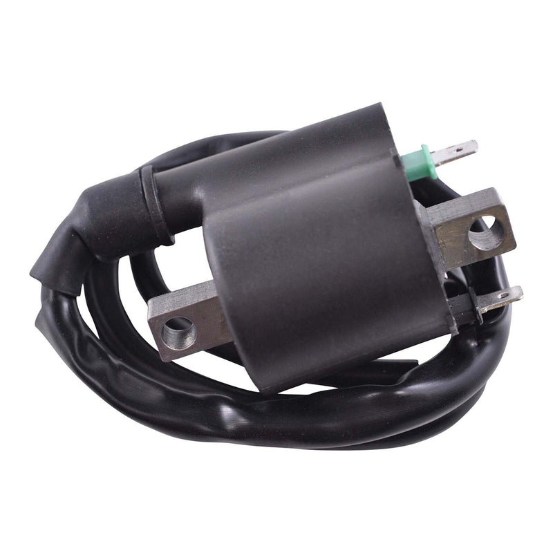 Load image into Gallery viewer, External Ignition Coil - Assorted Honda / Kawasaki '08-'20