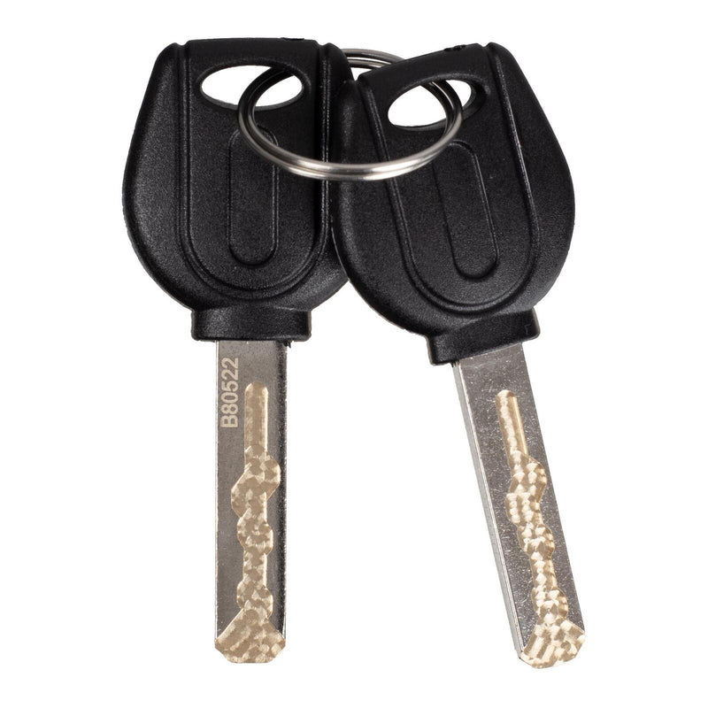 Load image into Gallery viewer, WMP Disc Lock Alarm Type 10mm Pin With Reminder