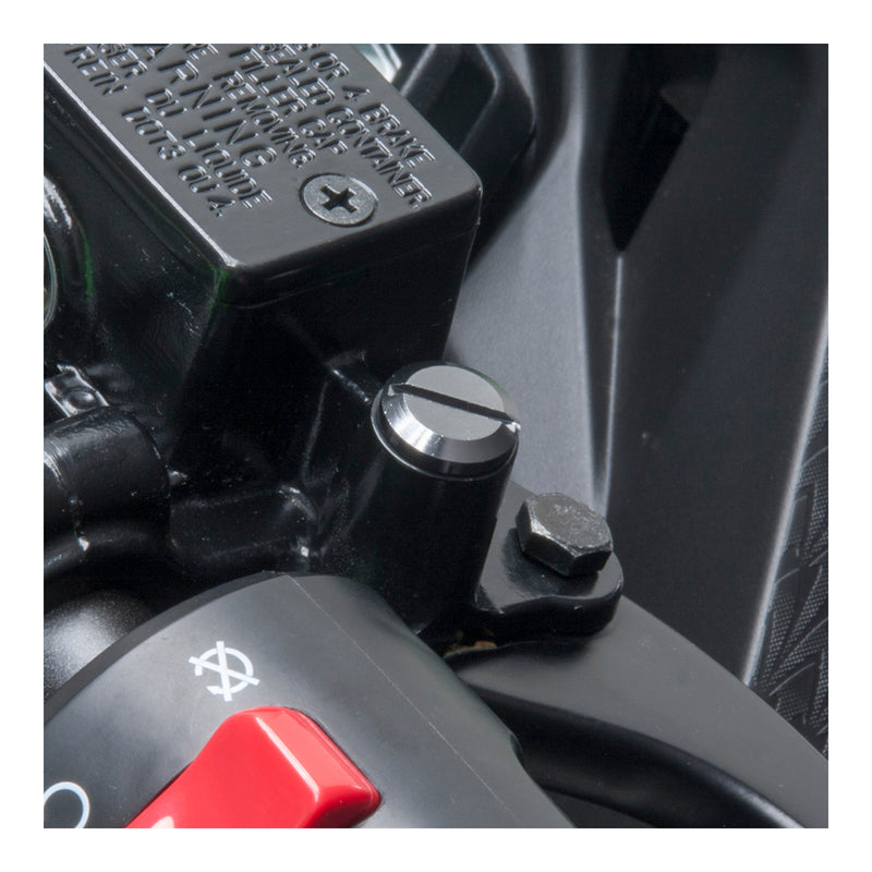 Load image into Gallery viewer, DRC Mirror Hole Plug M10 - Ti-color
