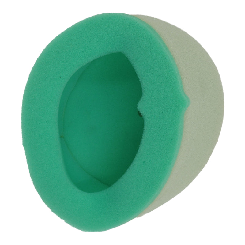 Load image into Gallery viewer, Putoline Air Filter YA2317
