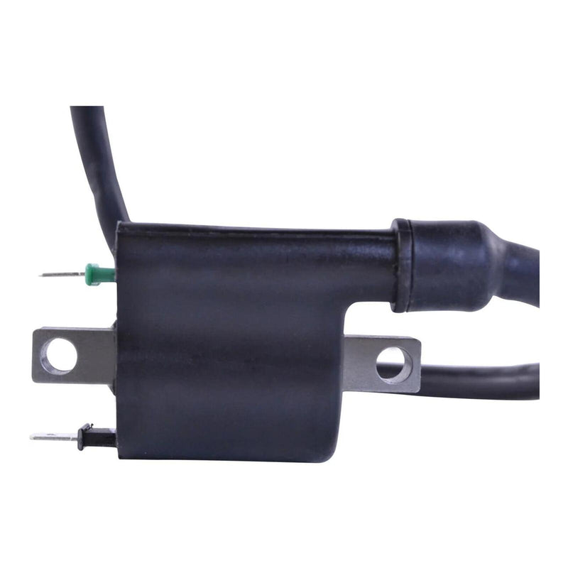 Load image into Gallery viewer, External Ignition Coil Assorted Honda Models
