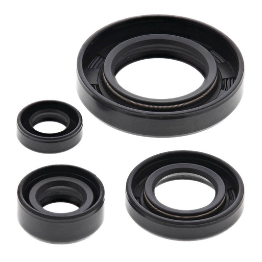 Oil Seal Kit 822195