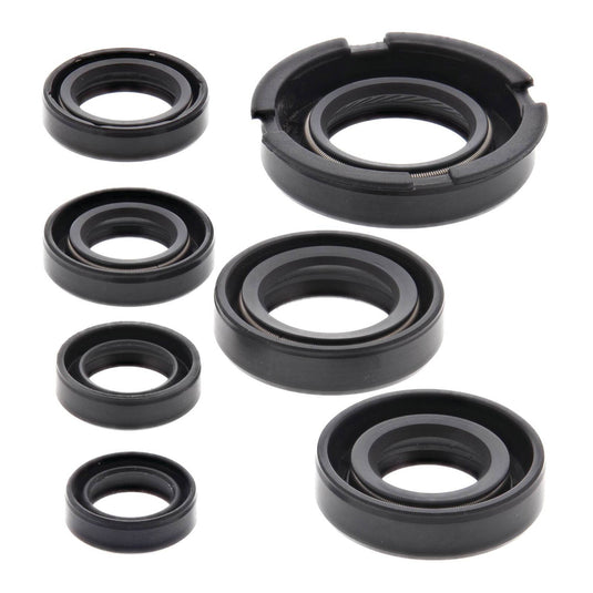Oil Seal Kit 822219