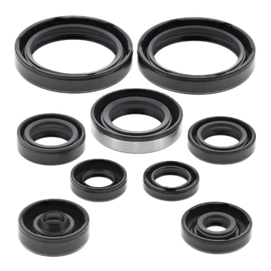 Oil Seal Kit 822316