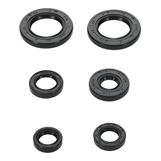 Oil Seal Kit 822391