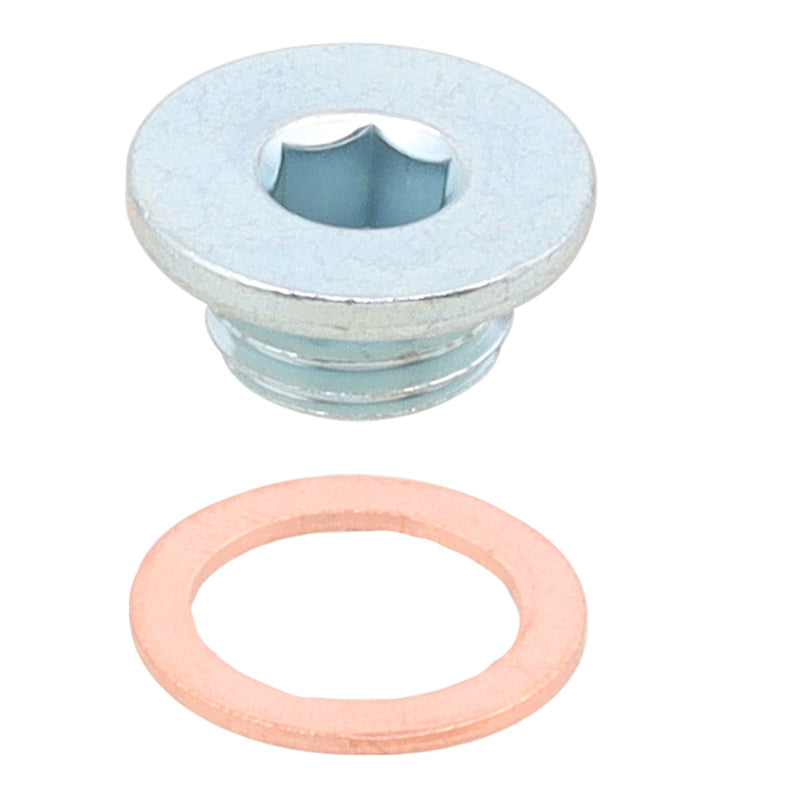 Load image into Gallery viewer, Whites Magnetic Drain Plug M10 x 5 - P1.25
