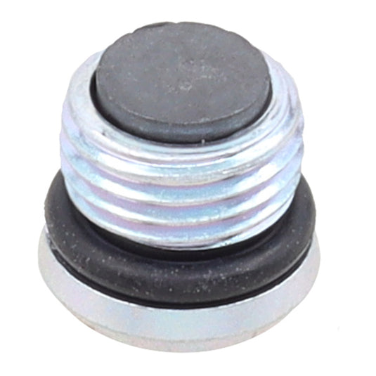Whites Magnetic Drain Plug M10 x 6.9 - P1.0